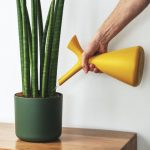 plants-ecommerce-product-featured-img-10